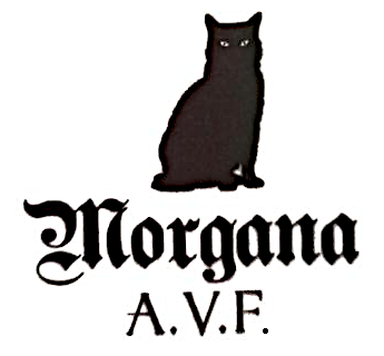 logo Morgana